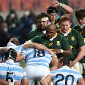 South Africa defeated Argentina in the Rugby Championship at the weekend. (Photo by Richard Huggard/Gallo Images)