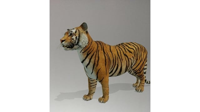 Featured image of post Tiger View In 3D : Google 3d animals camera not working problem fix | view in your space 3d animals vfx tutorial.