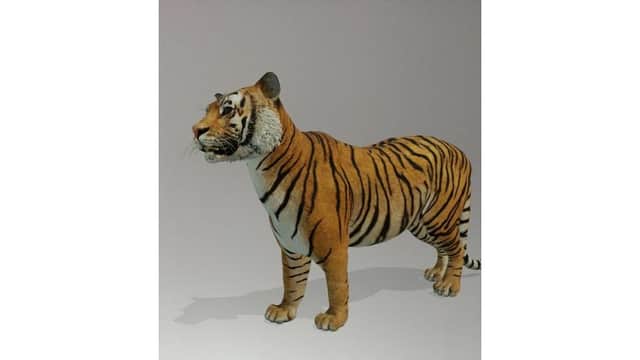 The tiger was crowned champion as the people's favourite 3D animal on Google (Photo: JPIMedia)