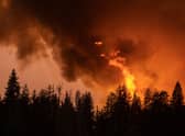 Flames rise high into the sky from a forest in California, which has seen wildfires burn increasing amounts of land in recent years (Picture: David McNews/AFP via Getty Images)