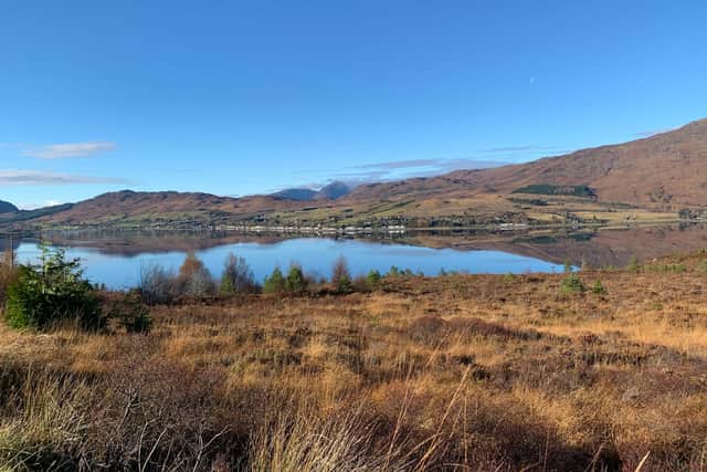 A pioneering restocking programme is showing great potential to stave off extinction of wild salmon in the River Carron, in Wester Ross