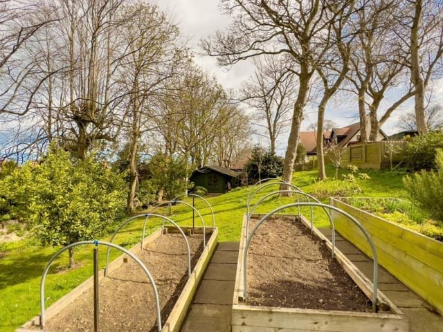 Garden.