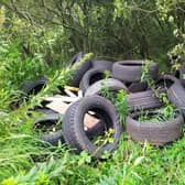 Illegally dumped rubbish can cause serious harm to the environment, polluting land and water and posing a danger to wild animals and livestock, and costs millions of pounds in clean-up costs each year