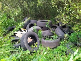 Illegally dumped rubbish can cause serious harm to the environment, polluting land and water and posing a danger to wild animals and livestock, and costs millions of pounds in clean-up costs each year