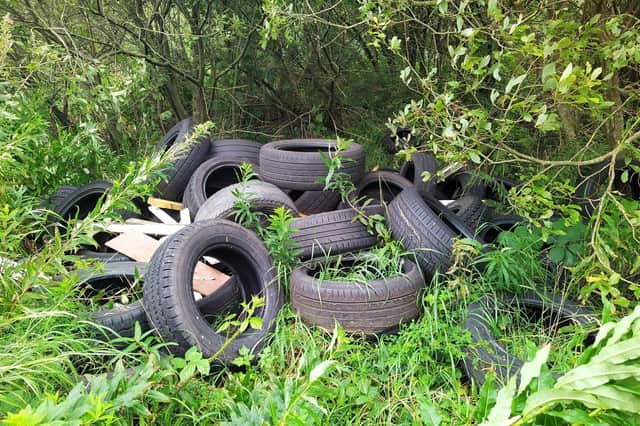 Illegally dumped rubbish can cause serious harm to the environment, polluting land and water and posing a danger to wild animals and livestock, and costs millions of pounds in clean-up costs each year