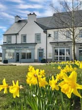 Chapelton