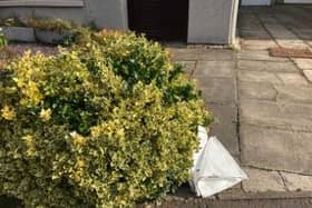 The new bags turned up on East Lothian doorsteps this week