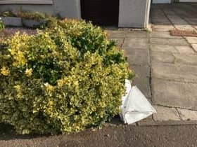 The new bags turned up on East Lothian doorsteps this week