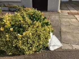 The new bags turned up on East Lothian doorsteps this week