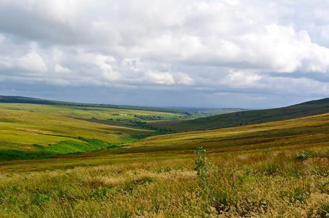 A £3.8 million deal was agreed last year with landowner Buccleuch for a community buyout  of 5,300 acres of land on Langholm Moor.