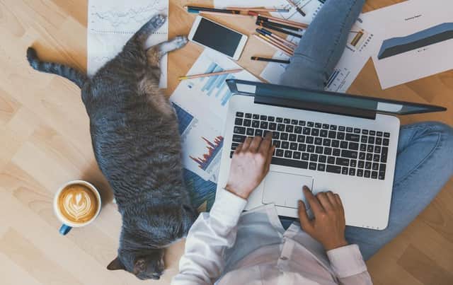 These are some of the best bits about working from home (Photo: Shutterstock)