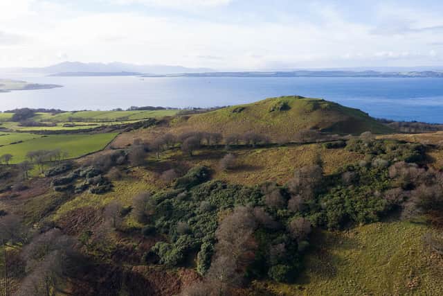 A new forest with 200,000 trees is being created near the seaside town of Largs, on Scotland's west coast, to help tackle climate change and benefit wildlife