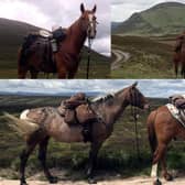Claire and her horses have spent the last decade exploring Scotland's Highlands together picture: Claire Alldritt