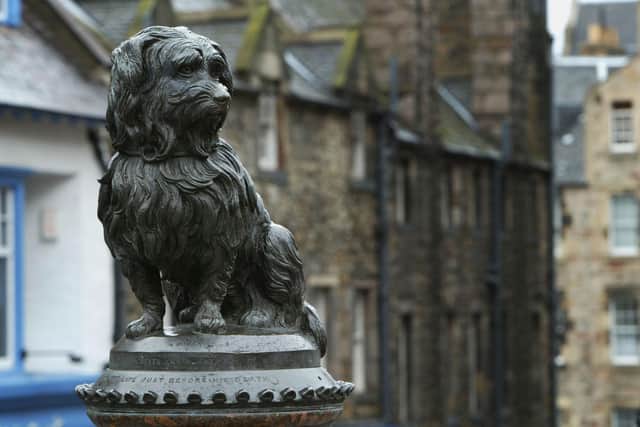Greyfriars Bobby, the statue of the Skye Terrier who was the pet of Edinburgh constable John Grey, who died of tuberculosis in 1858. Bobby sat near his grave in Greyfriars Cemetery every day for 14 years until his own death and the statue was unveiled in 1873. In recent years, the habit of rubbing his nose for luck has seen the black finish being worn away with restoration work required.