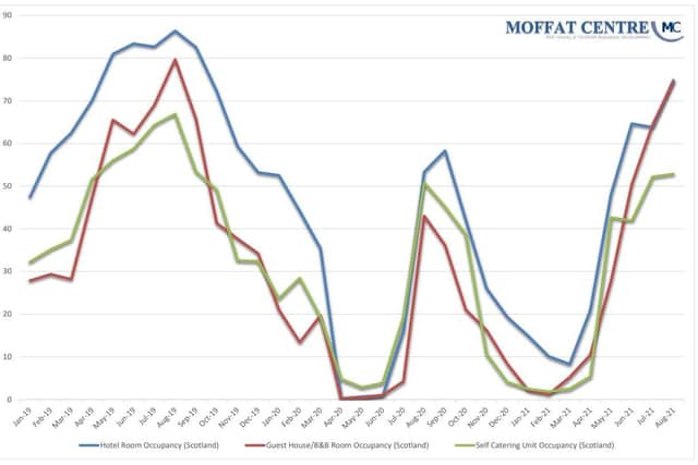 The impact of the Covid pandemic on Scottish room occupancy rates for hotels (blue), guesthouses/BnBs (red) and self-catering (green). Picture: Moffat Centre