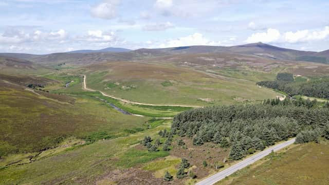 The project at Glen Dye Moor aims to help tackle climate change (Photo:Landfor)