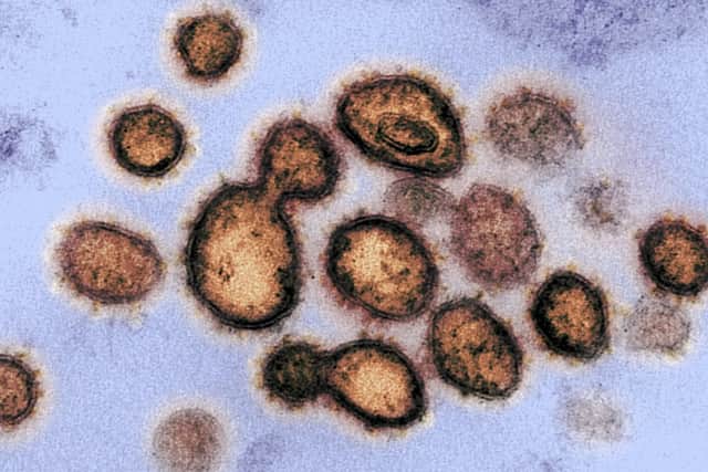 Glasgow-based ILC Therapeutics has received global attention through its work exploring Covid therapeutic treatments with the University of St Andrews.