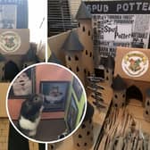 Lisa Murray-Lang, 44, used cardboard boxes and dolls furniture to recreate iconic scenes for her Syrian hamster, Spud, to explore.