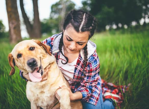 These are the breeds of dog perfect for teenagers.