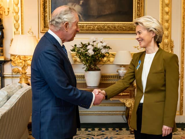 King Charles III receives European Commission president Ursula von der Leyen during an audience at Windsor Castle. Picture: Aaron Chown - Pool/Getty Images