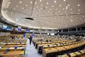 The European Parliament elections are in June. Picture: Nicolas Maeterlinck/AFP via Getty Images