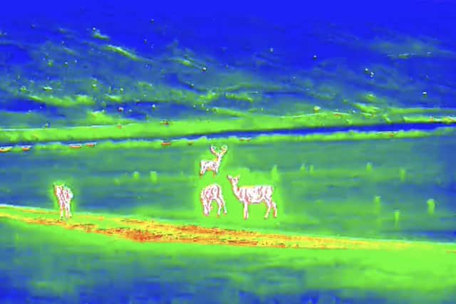 Connell Outdoor Pursuits, based in the Dornoch area of Sutherland, is introducing the new Thermal Imaging Wildlife Safaris to offer visitors to the region a rare opportunity to observe animals in the wild under the cover of darkness