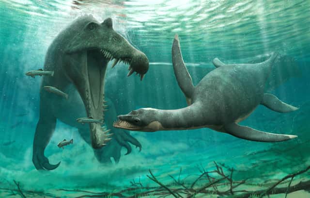 A plesiosaur evades a larger predator (Picture: Dr Nick Longrich/University of Bath)