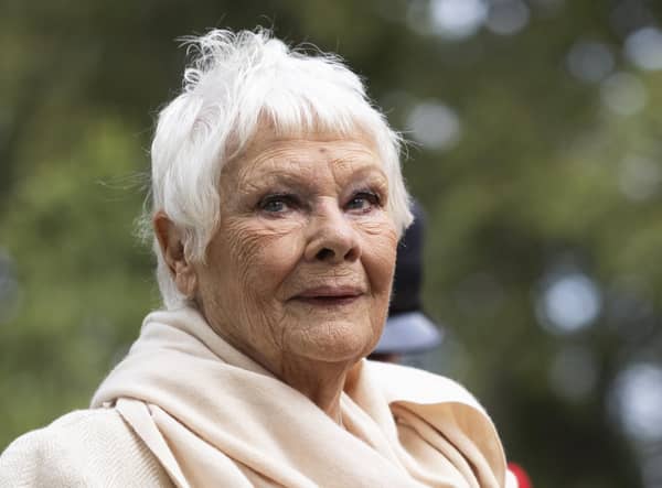 Dame Judi Dench. Picture: Dan Kitwood