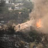 A massive blaze burned for more than a fortnight in the northern region of Greece last year - it was the largest single wildfire to have occurred in the European Union since records began