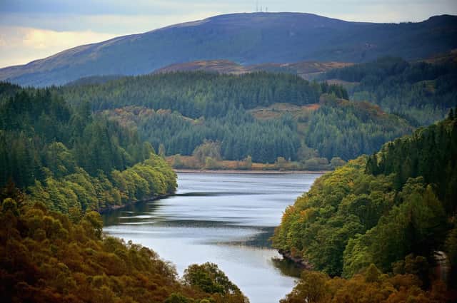 Scotland can expect to see significant changes in land use over the coming years, such as more woodland to soak up carbon from the atmosphere (Picture: Jeff J Mitchell/Getty Images)
