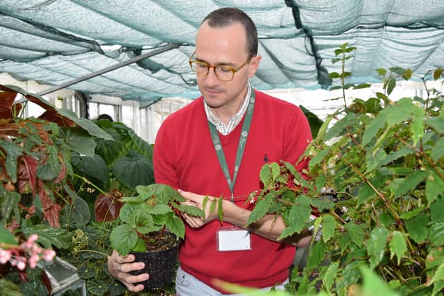RBGE expert Dr Mark Hughes