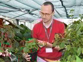 RBGE expert Dr Mark Hughes