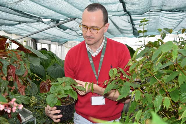 RBGE expert Dr Mark Hughes