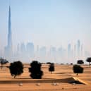 Arabian oryx antelopes are pictured in the desert in the United Arab Emirates (UAE), against a view of the city of Dubai, on the first day of Eid al-Fitr, which marks the end of the Muslim fasting month of Ramadan, on May 13, 2021. (Photo by KARIM SAHIN / AFP) (Photo by KARIM SAHIN/AFP via Getty Images)