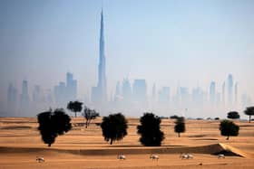 Arabian oryx antelopes are pictured in the desert in the United Arab Emirates (UAE), against a view of the city of Dubai, on the first day of Eid al-Fitr, which marks the end of the Muslim fasting month of Ramadan, on May 13, 2021. (Photo by KARIM SAHIN / AFP) (Photo by KARIM SAHIN/AFP via Getty Images)