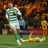 Tom Rogic netted a late equaliser for Celtic on Wednesday evening. Picture: SNS
