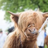 The Royal Highland Show is urging visitors to snap up the few remaining tickets as demand soars for the event, which takes place next week.