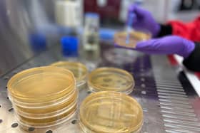 How net zero can be reached through more infrastructure and growth in biotechnology – IBioIC conference