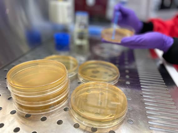How net zero can be reached through more infrastructure and growth in biotechnology – IBioIC conference