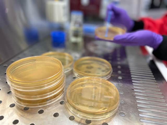 How net zero can be reached through more infrastructure and growth in biotechnology – IBioIC conference