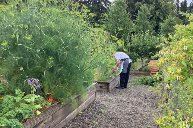 Kitchen garden at Cromlix