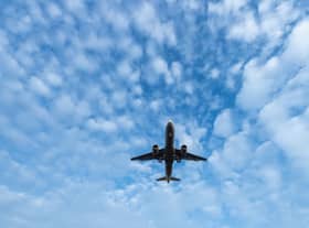 The travel ban was put in place over fears of a new strain of Covid-19 detected in Brazil (Getty Images)