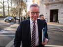 Has Cabinet minister Michael Gove finally started listening to 'experts' about the damaging effects of Brexit? (Picture: Leon Neal/Getty Images)
