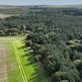 Lenabo Forest, near Peterhead, is on the market for offers over £3.9m (pic: Goldcrest Land & Forestry Group)