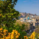 View of old town Edinburgh with flowers during spring in Scotland