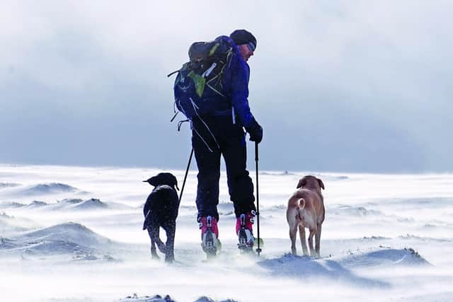 Andrew Cotter wtih Olive and Mabel waling in his native Scotland. Pic: Andrew Cotter