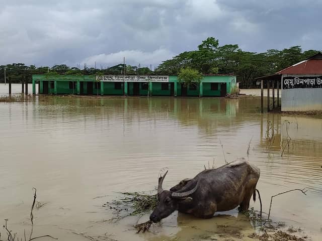 Flooded school buildings in Sylhet, north-east Bangladesh, during the country’s worst floods in decades.
