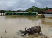 Flooded school buildings in Sylhet, north-east Bangladesh, during the country’s worst floods in decades.