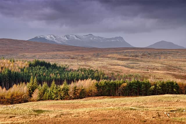 The land at Rosal in Strathnaver, Sutherland, where the outlines of some of the longhouses can still be seen. Spodzone/CC
