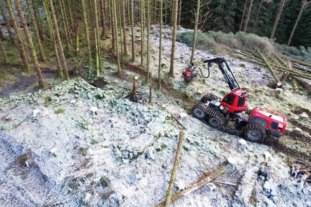 Foresters had to work carefully to harvest trees without damaging the ruins of the village of Brunell, uncovered in Glen Brittle on the Isle of Skye.